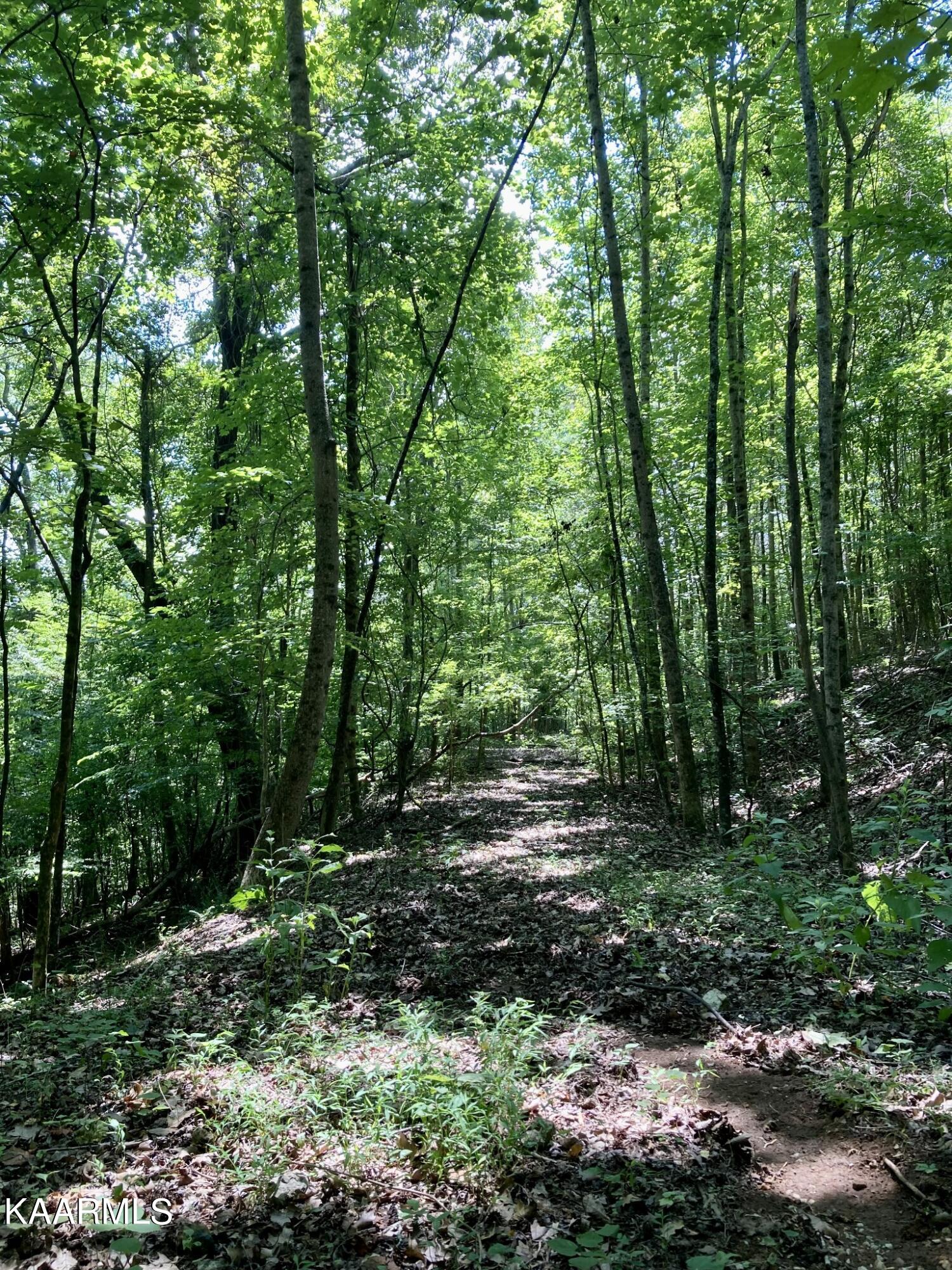 Village Drive Spring City, TN 37381 - Photo 3 of 21 2