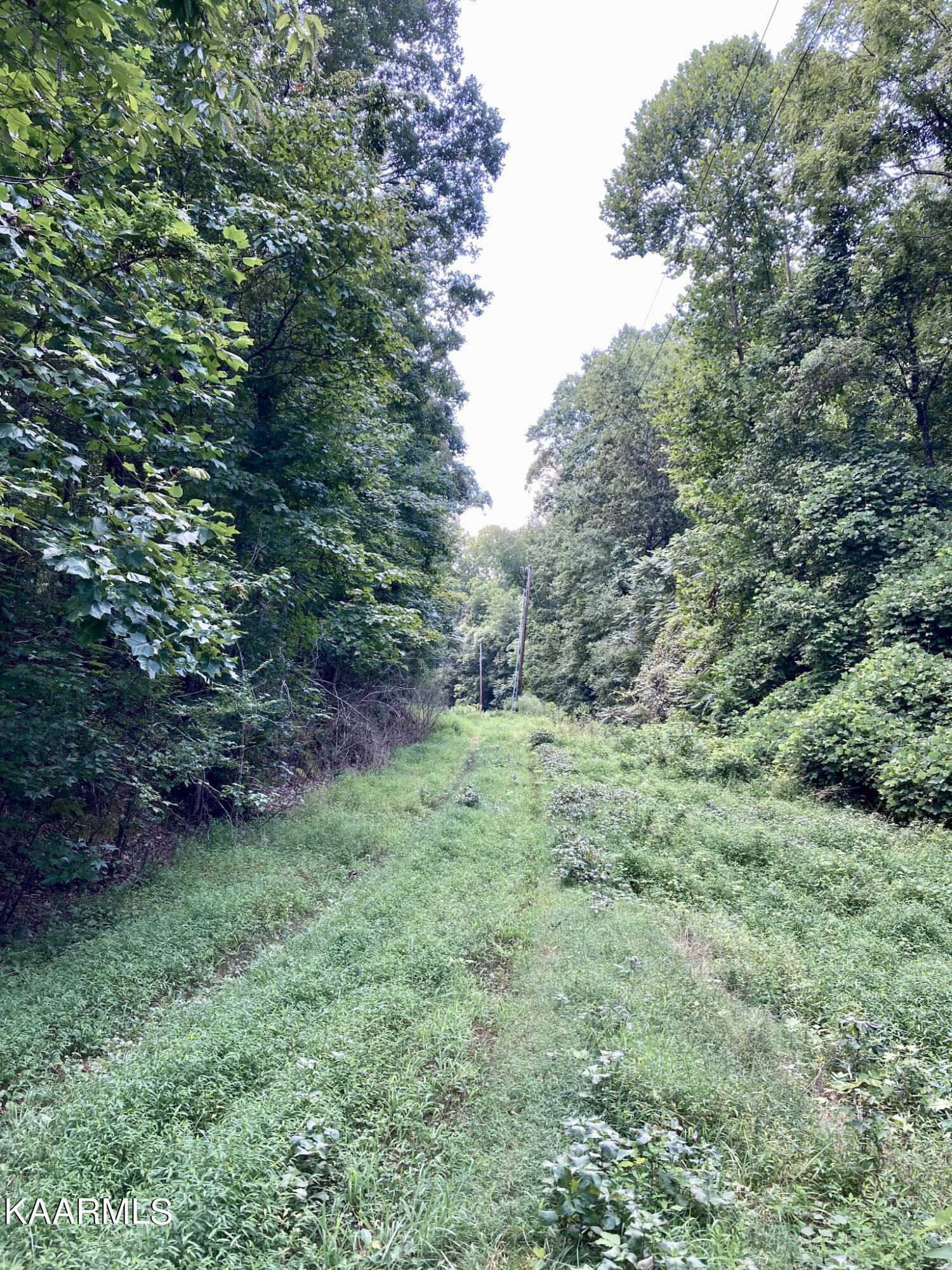 Village Drive Spring City, TN 37381 - Photo 5 of 21 4