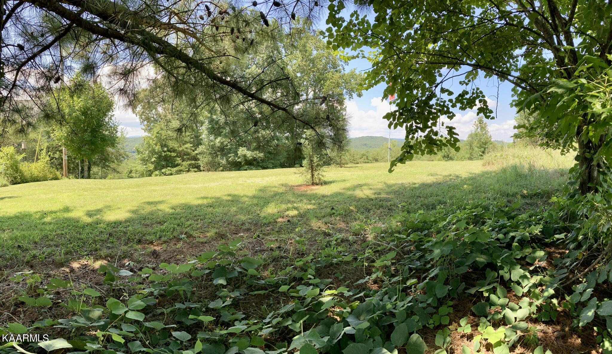 Village Drive Spring City, TN 37381 - Photo 7 of 21 6