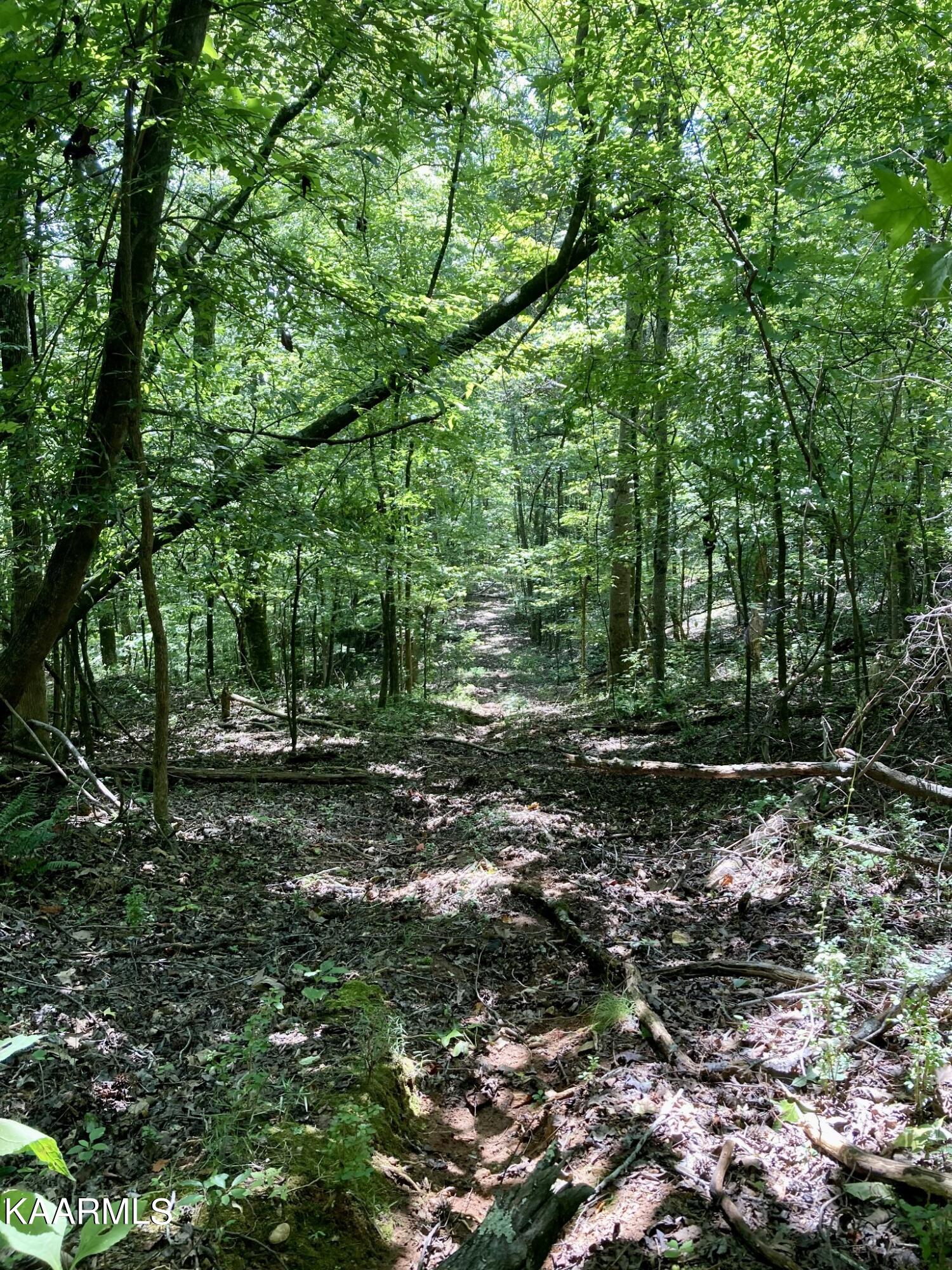 Village Drive Spring City, TN 37381 - Photo 8 of 21 7