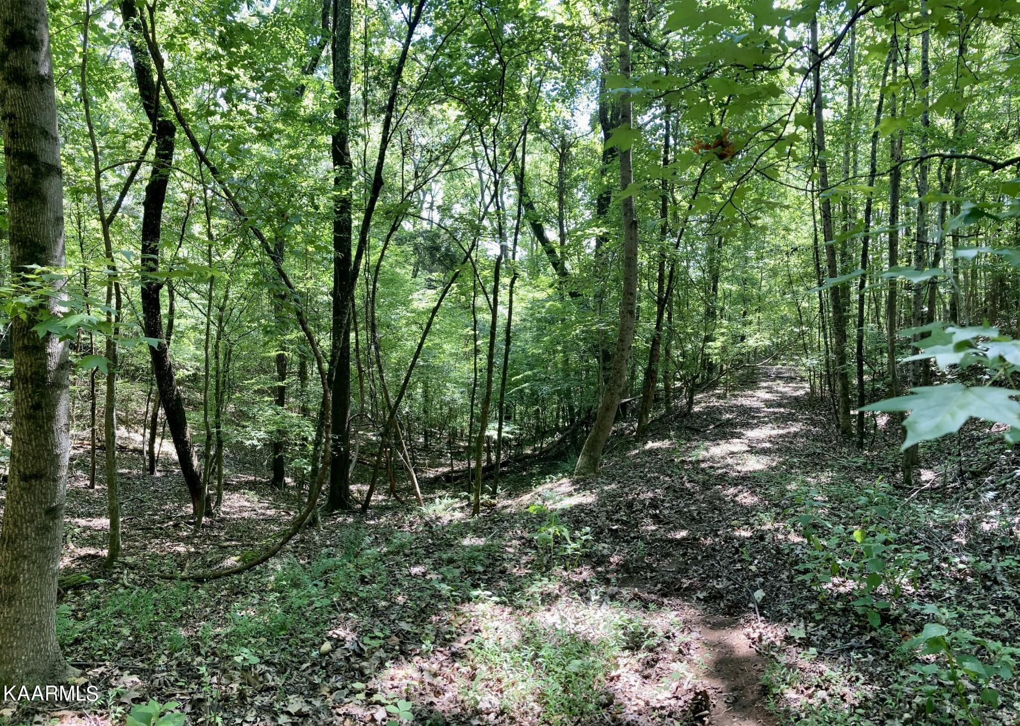 Village Drive Spring City, TN 37381 - Photo 10 of 21 9