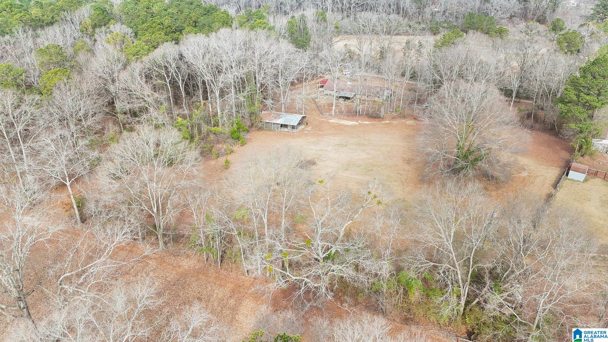 3926 County Road 37 Clanton, AL 35045 - Photo 11 of 42