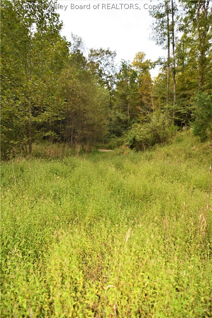 0 Fairview Road Fraziers Bottom, WV 25082 - Photo 6 of 11 Gallery Image 6
