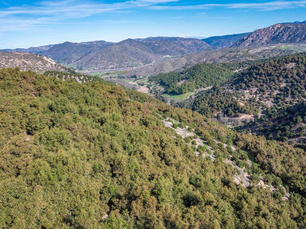 44 51 /- Ac Double Canyon Rd Valley Center Fallbrook, CA 92028 - Photo 1 of 1 Gallery Image 1