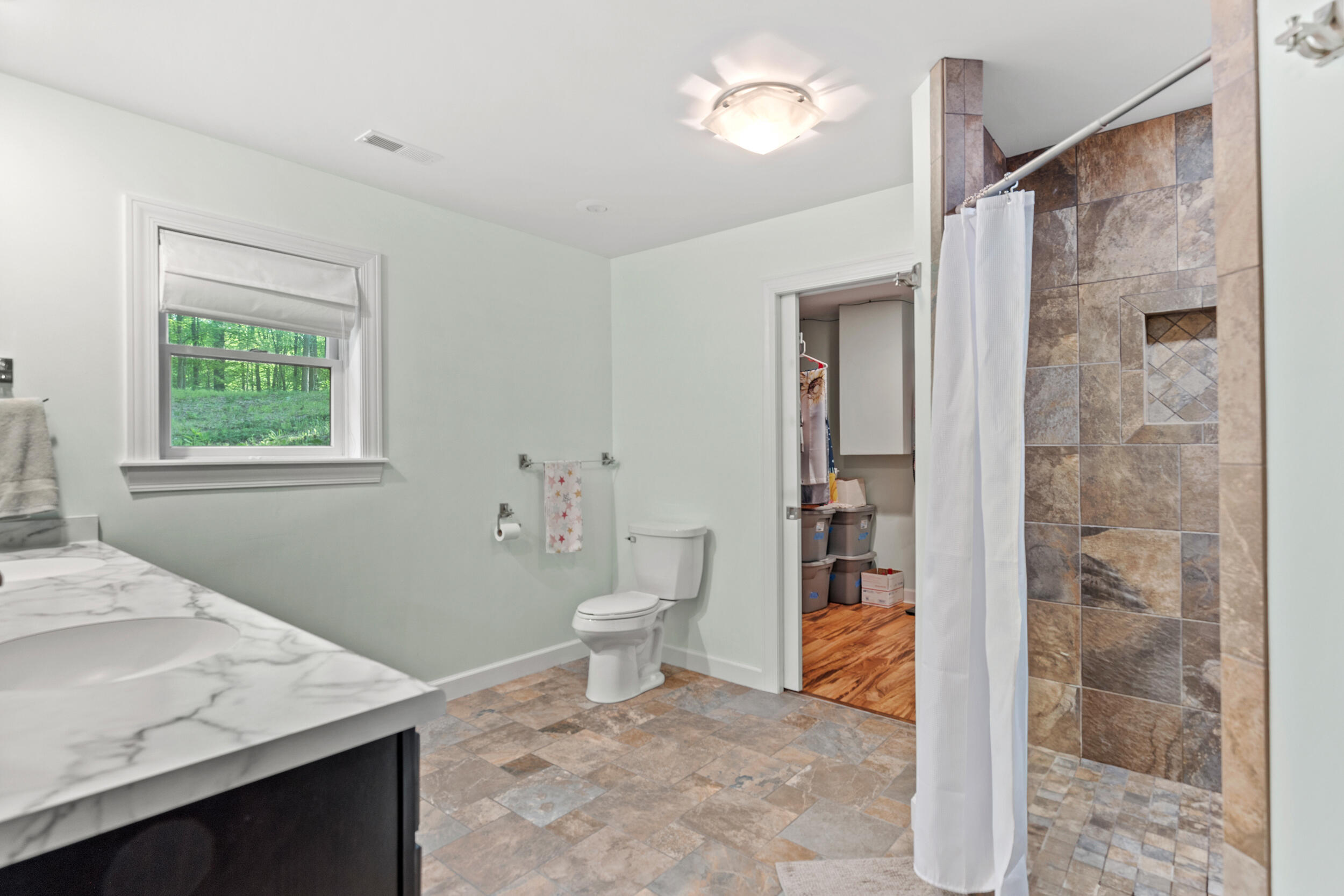 2980 North Old State Road Weidman, MI 48893 - Photo 42 of 55 primary bathroom