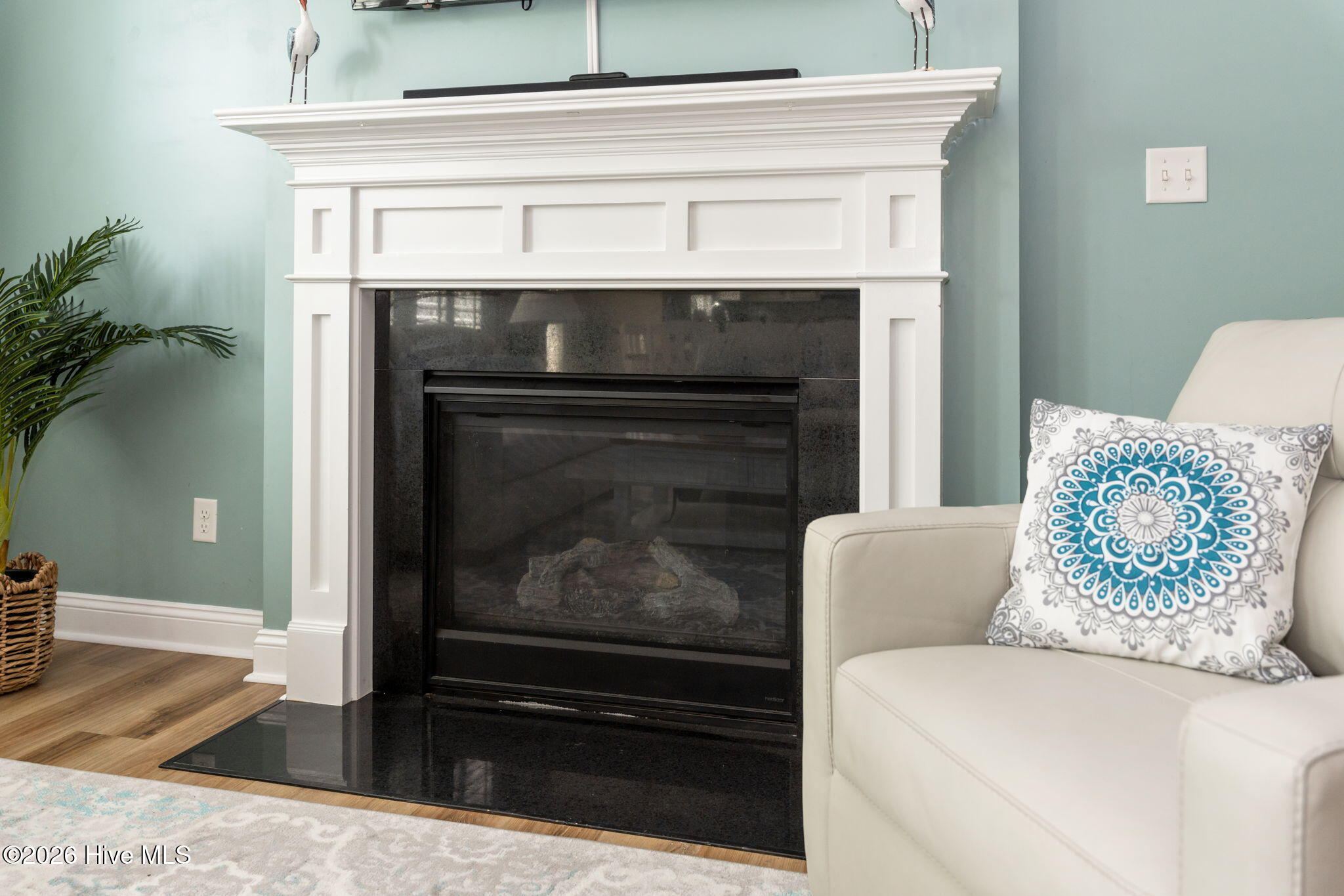 206 Cheswick Drive Holly Ridge, NC 28445 - Photo 11 of 48 detail-23