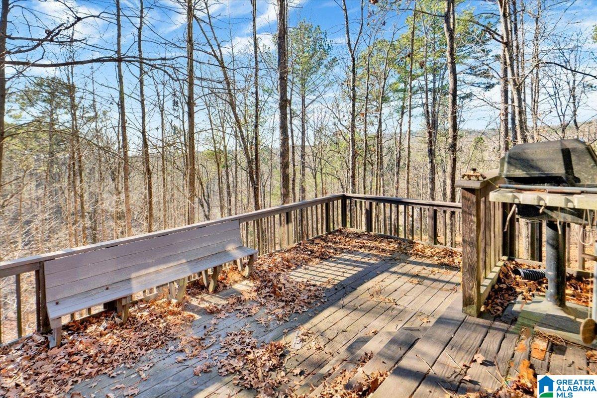 109 Hunset Mill Lane Pelham, AL 35124 - Photo 43 of 58