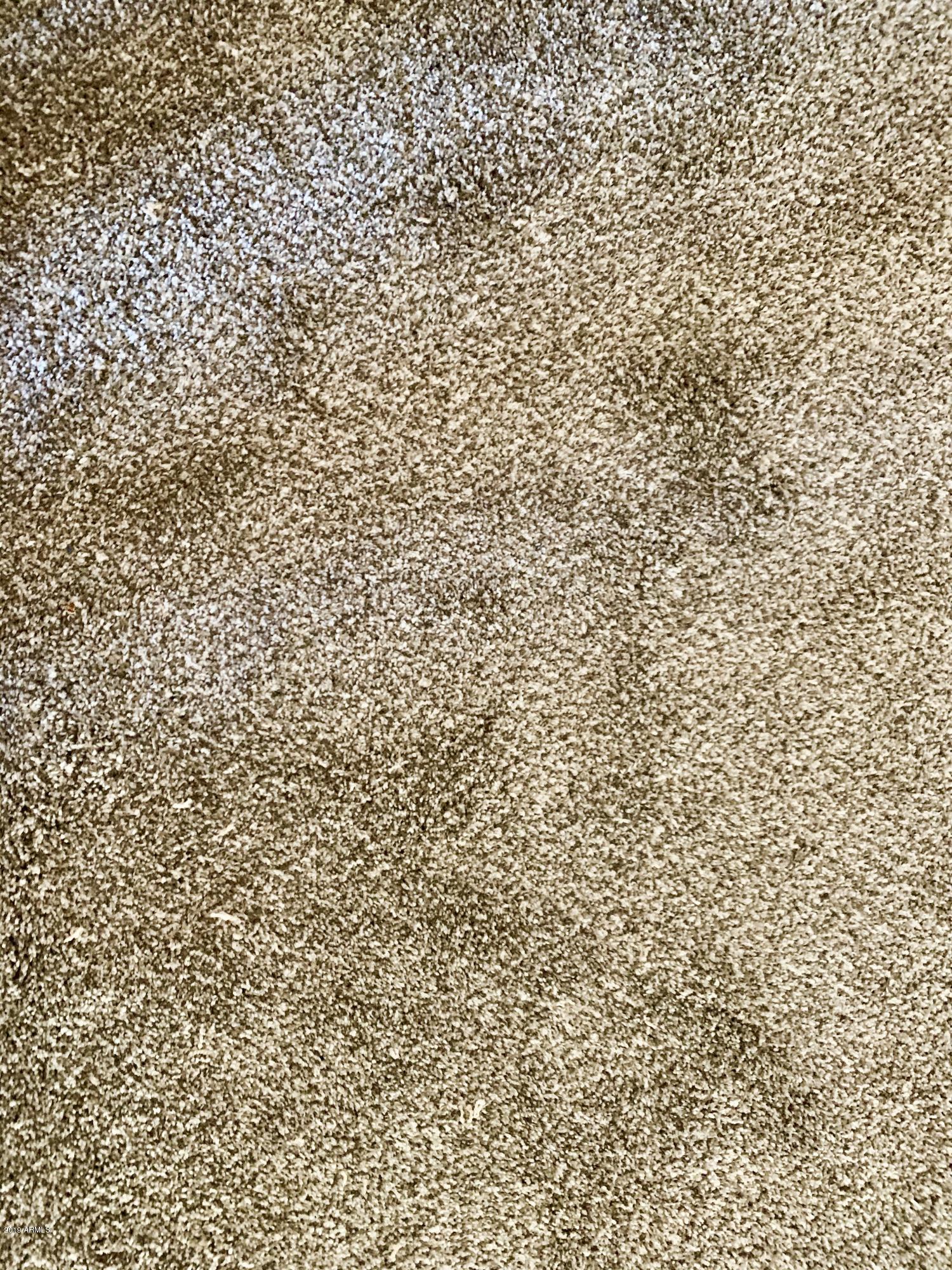 7750 East Broadway Road, Unit 734 Mesa, AZ 85208 - Photo 38 of 51 New carpet AZRM, Bedroom