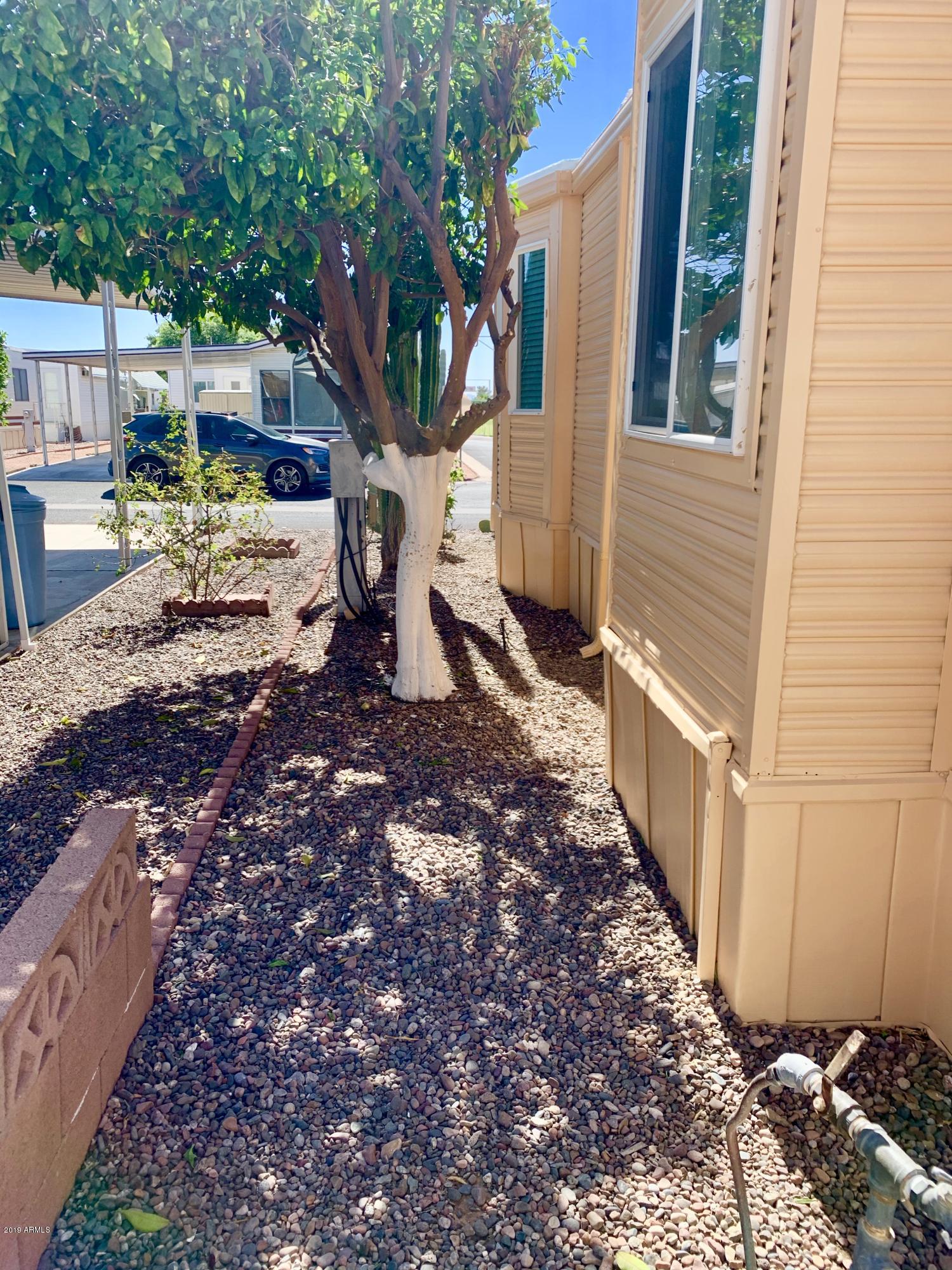 7750 East Broadway Road, Unit 734 Mesa, AZ 85208 - Photo 39 of 51 East side yard