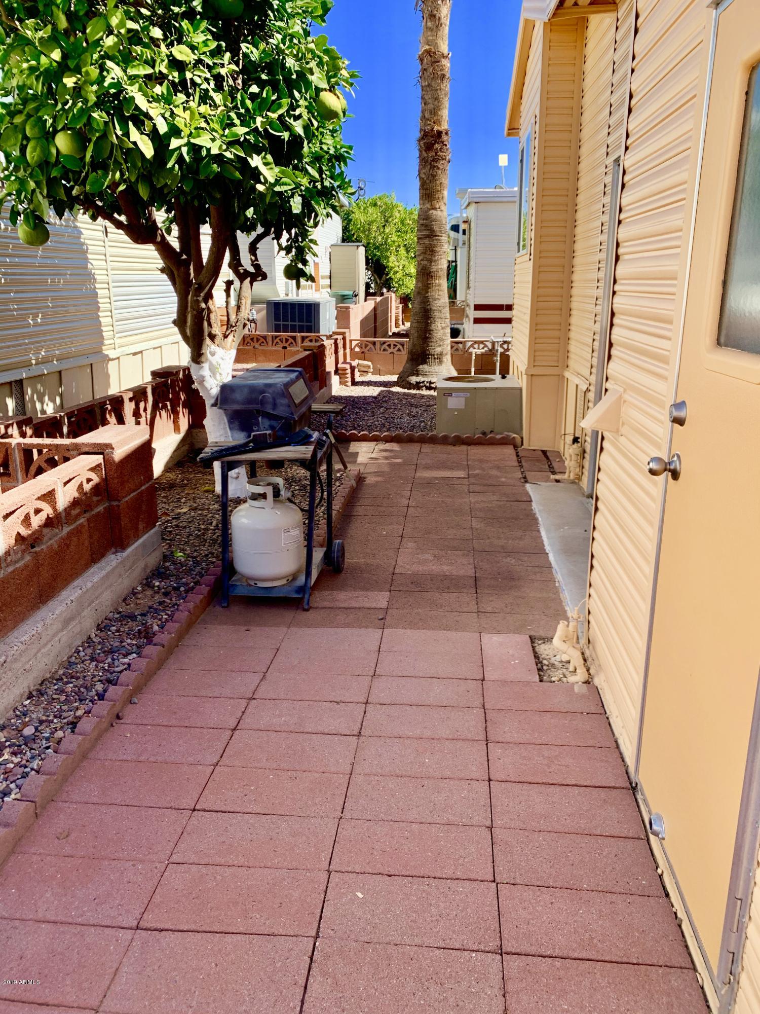 7750 East Broadway Road, Unit 734 Mesa, AZ 85208 - Photo 41 of 51 Backyard