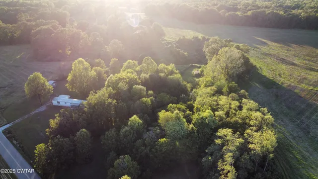 a close up of a vase of flowers