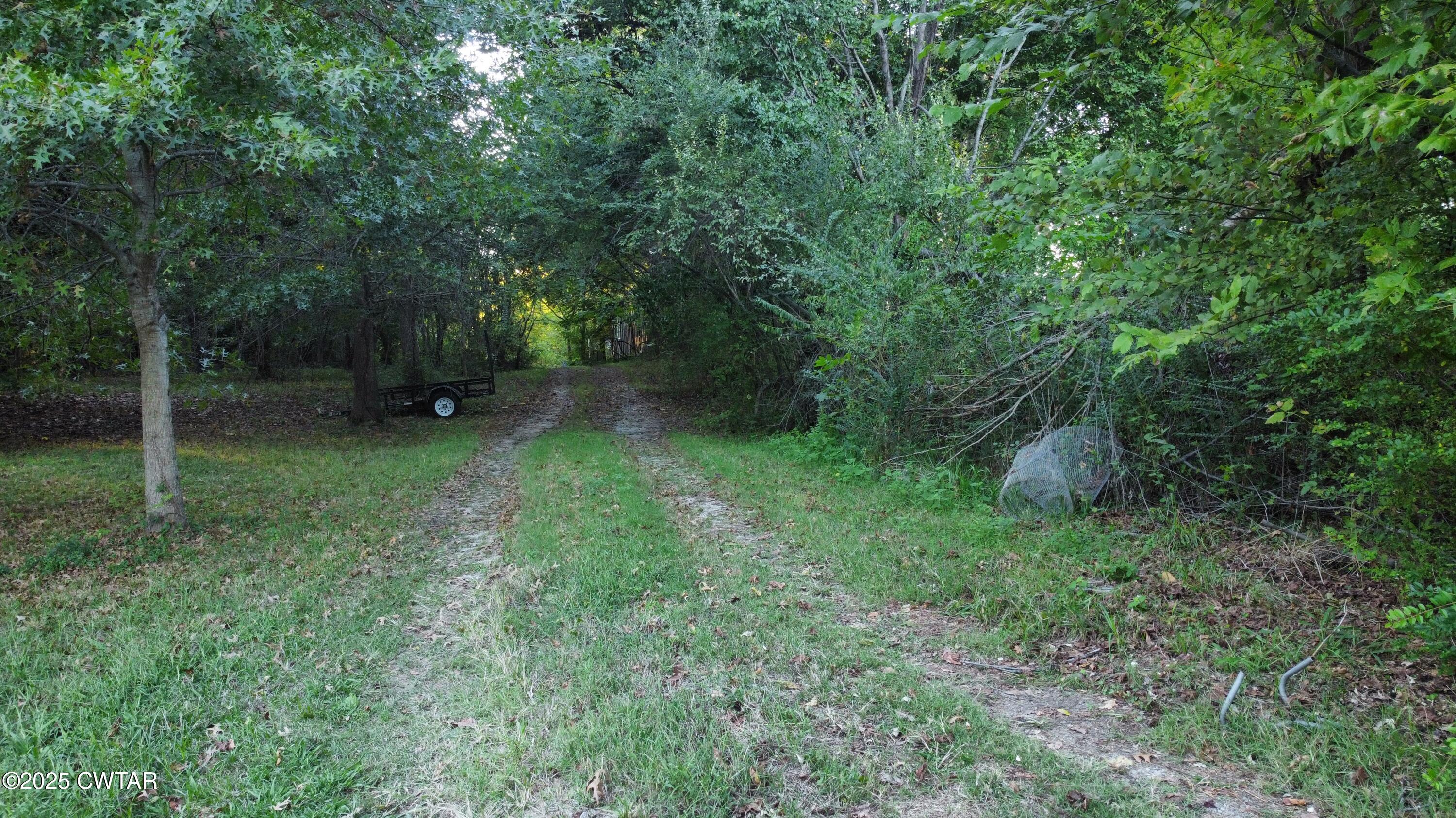 1349 Steam Mill Ferry Road Jackson, TN 38301 - Photo 4 of 8 a view of a lush green forest
