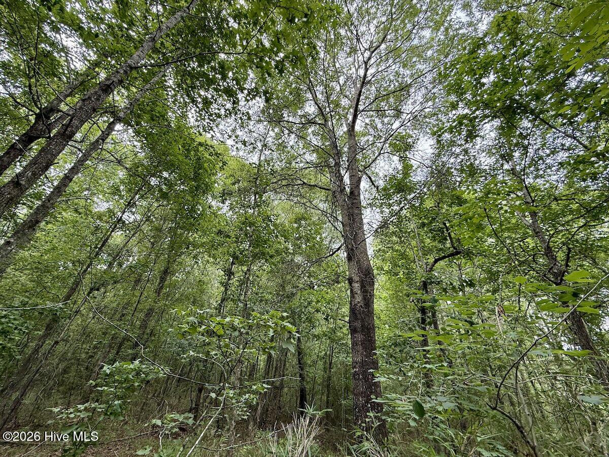 5930 Titan Roberts Road Erwin, NC 28339 - Photo 22 of 39 Gallery Image 22
