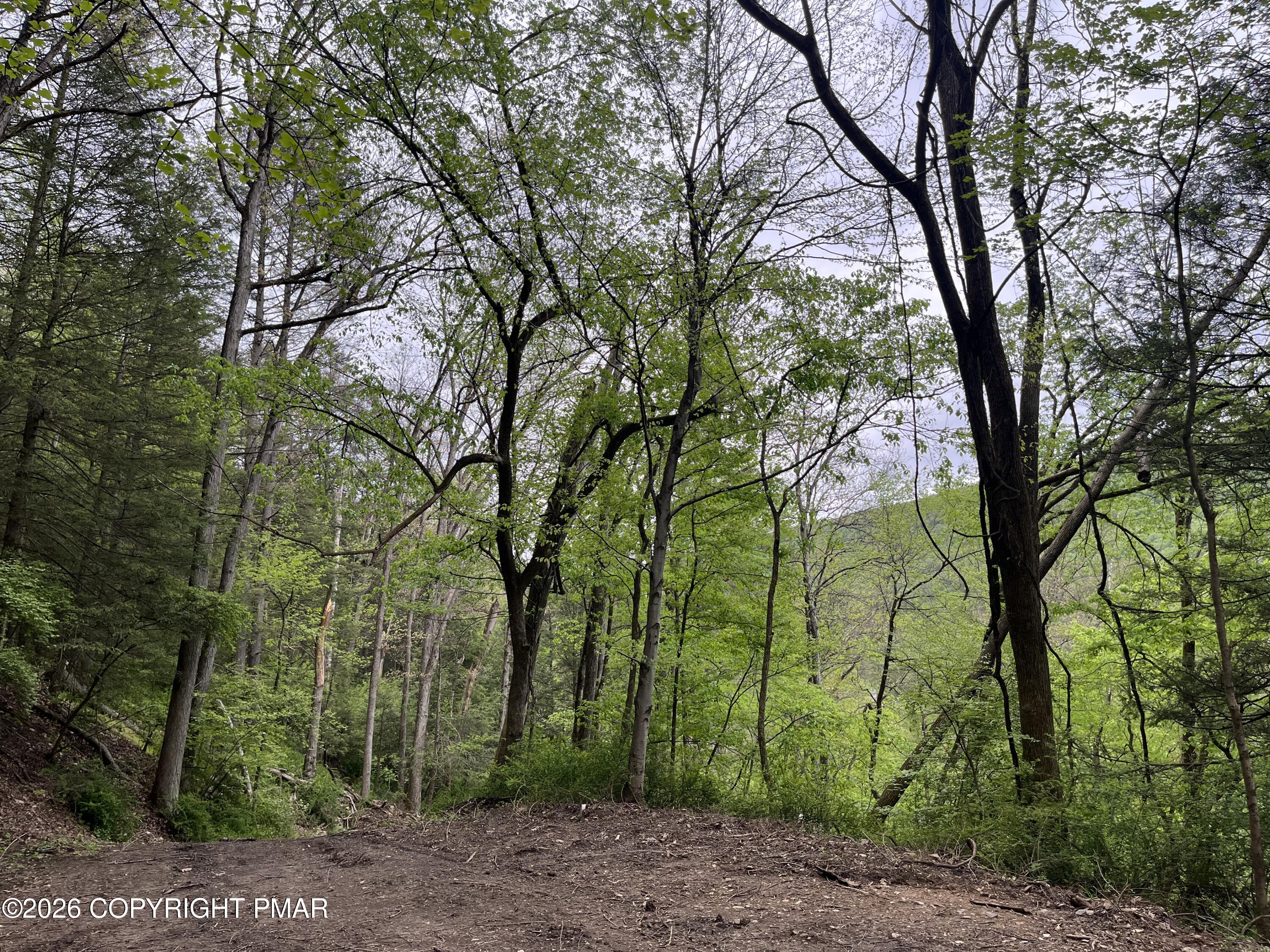 45052 Lower Smith Gap Road Kunkletown, PA 18058 - Photo 5 of 13 a view of a park