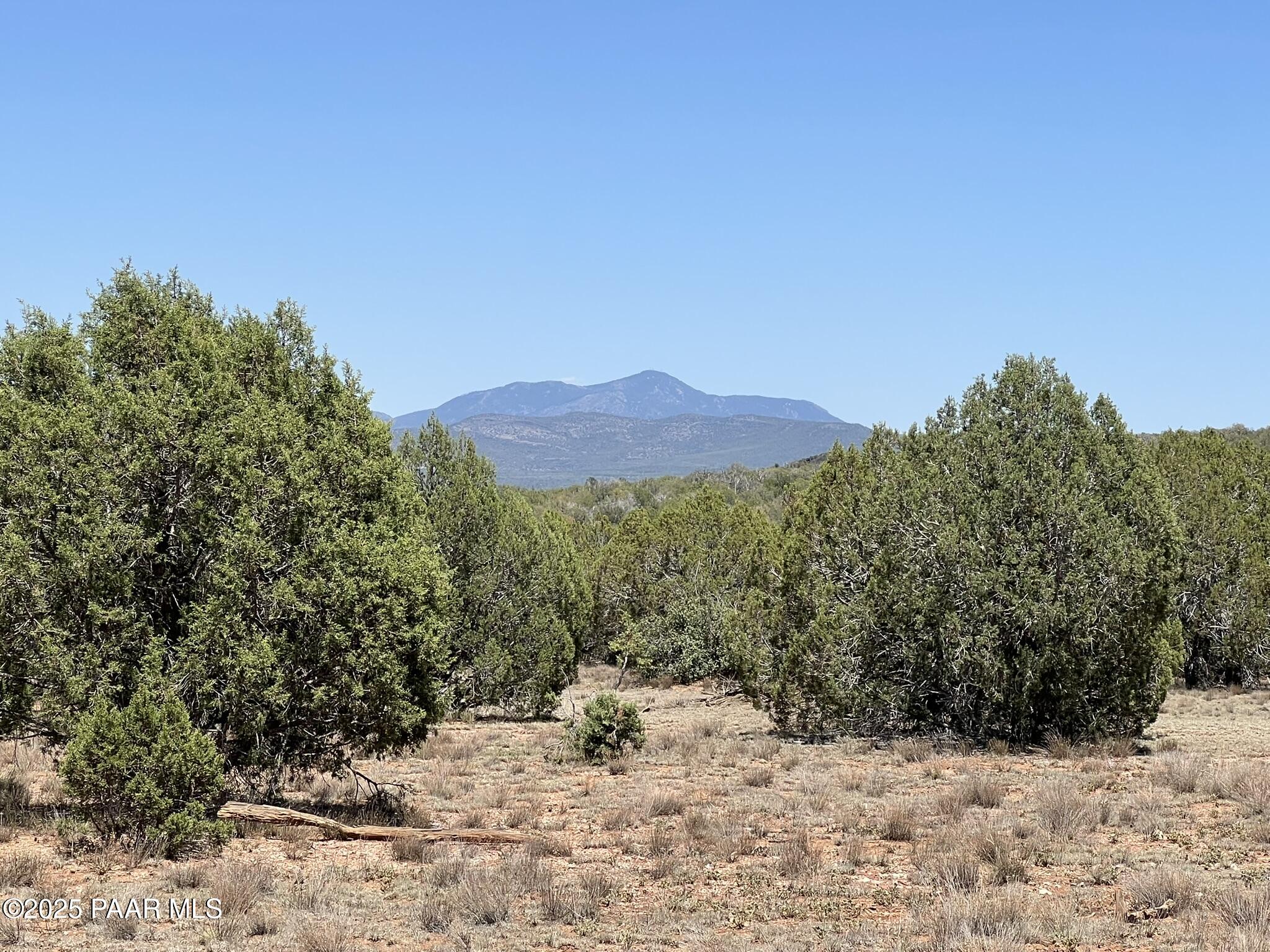 39303 Bullock Road Ash Fork, AZ 86320 - Photo 1 of 11 a view of a large tree with a mountain in the background