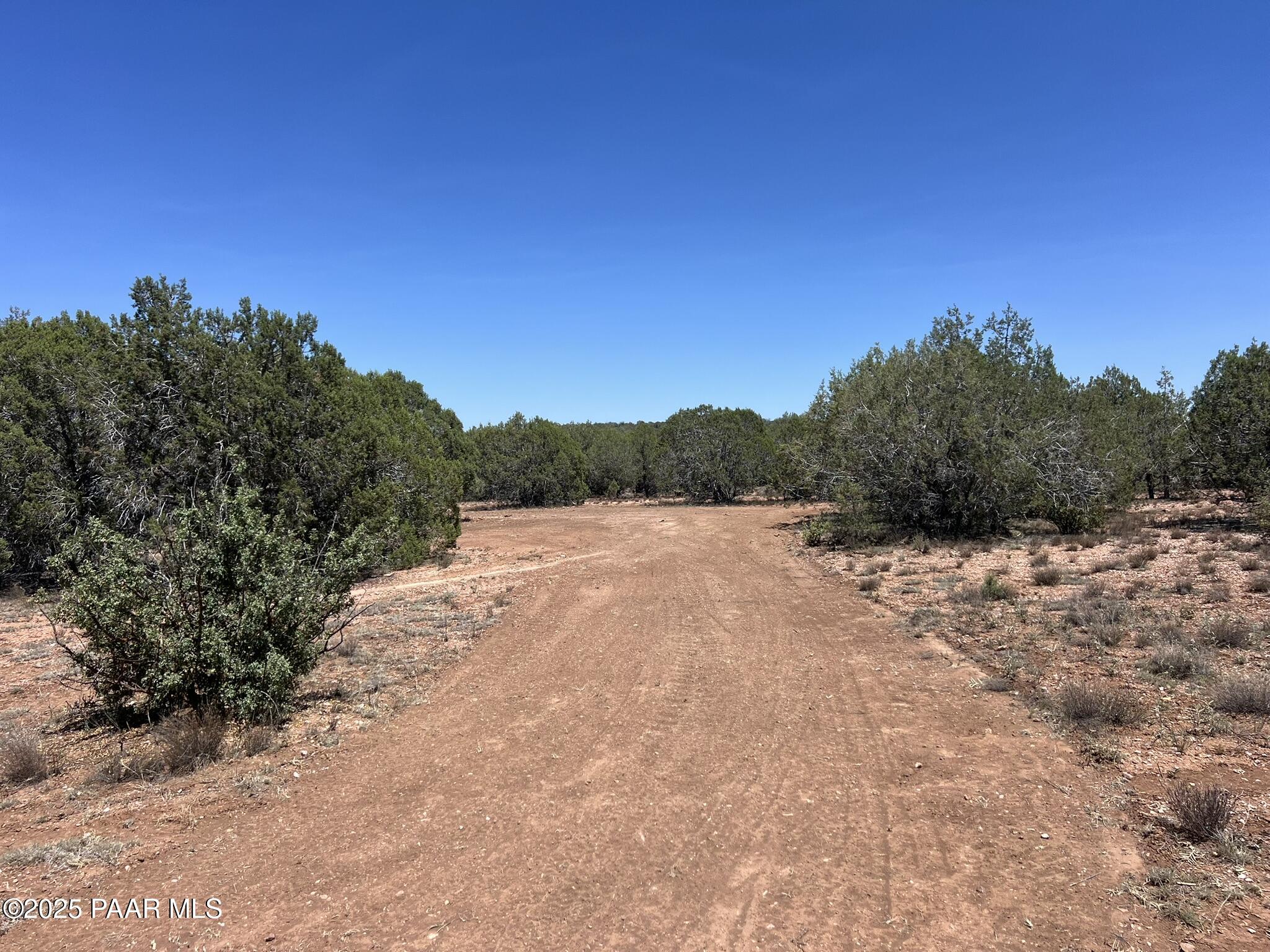 39303 Bullock Road Ash Fork, AZ 86320 - Photo 2 of 11 a view of a dry yard with trees in the background