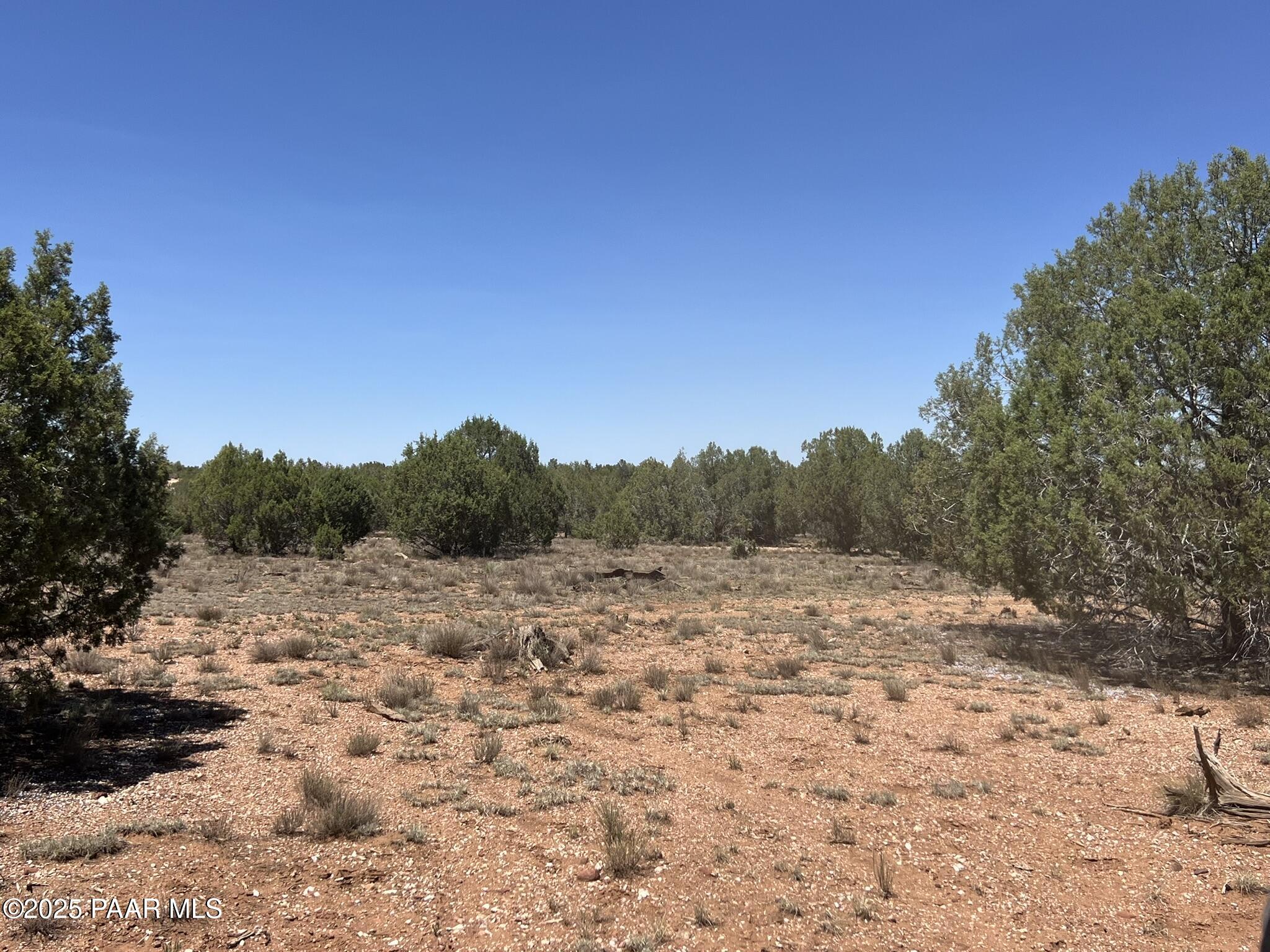 39303 Bullock Road Ash Fork, AZ 86320 - Photo 4 of 11 a view of outdoor space with mountain view