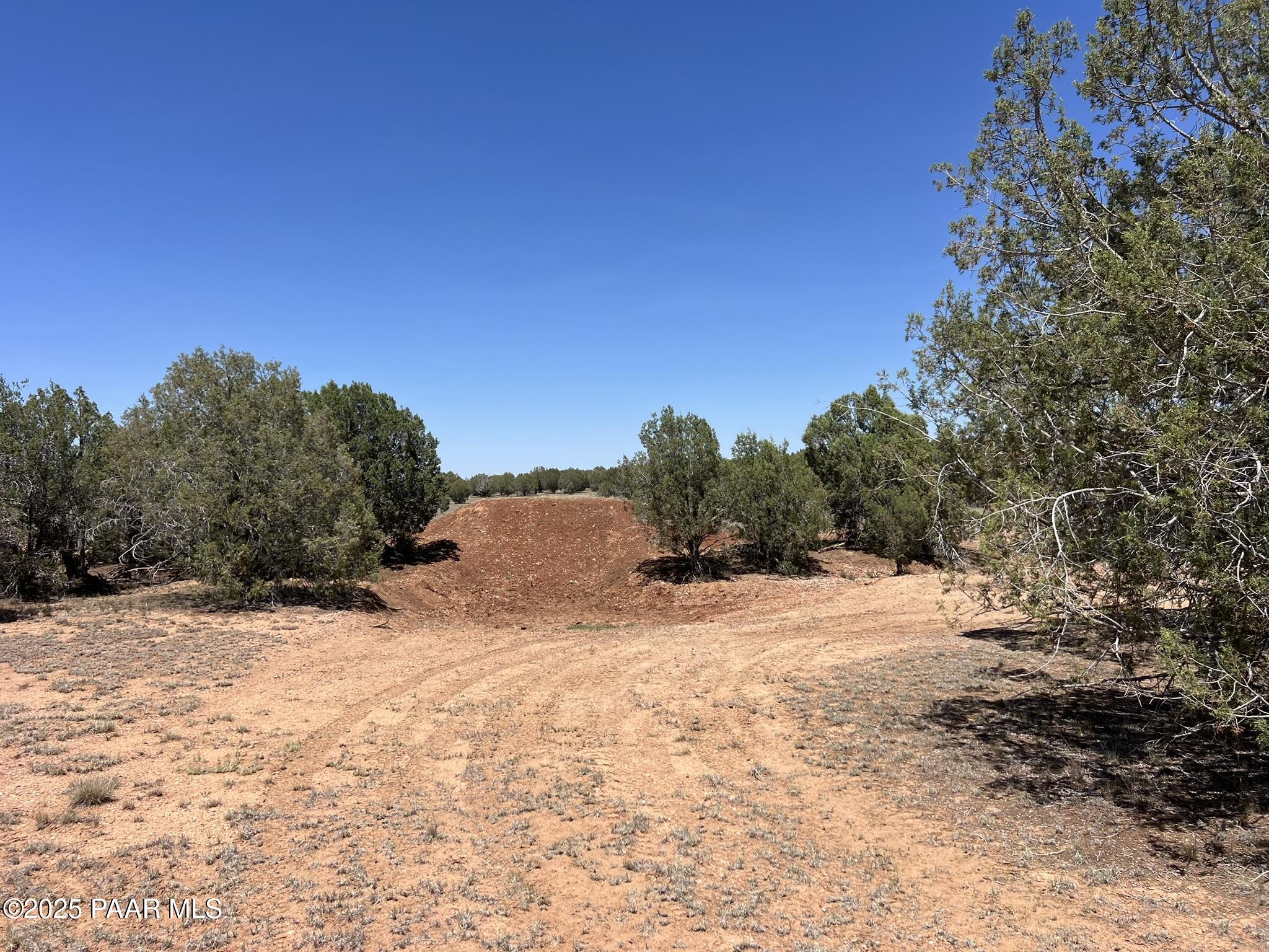 39303 Bullock Road Ash Fork, AZ 86320 - Photo 7 of 11 a view of a yard with a tree