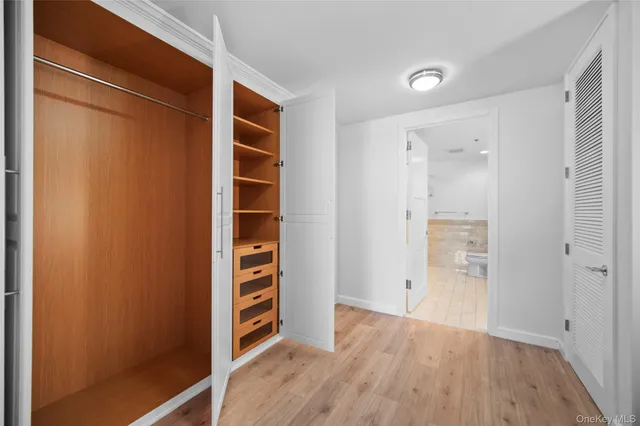 a view of walk in closet with empty racks