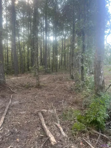 $239,900 | 10 Clinton La, Clinton, LA 70722