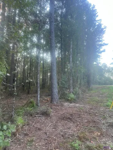 $239,900 | 10 Clinton La, Clinton, LA 70722