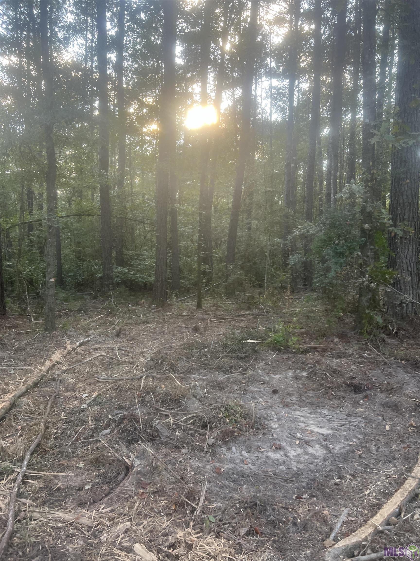 10 Clinton La Clinton, LA 70722 - Photo 4 of 5