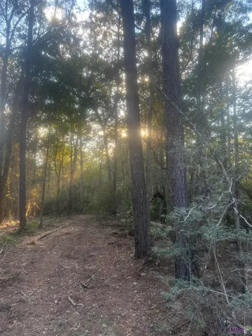 $239,900 | 10 Clinton La, Clinton, LA 70722