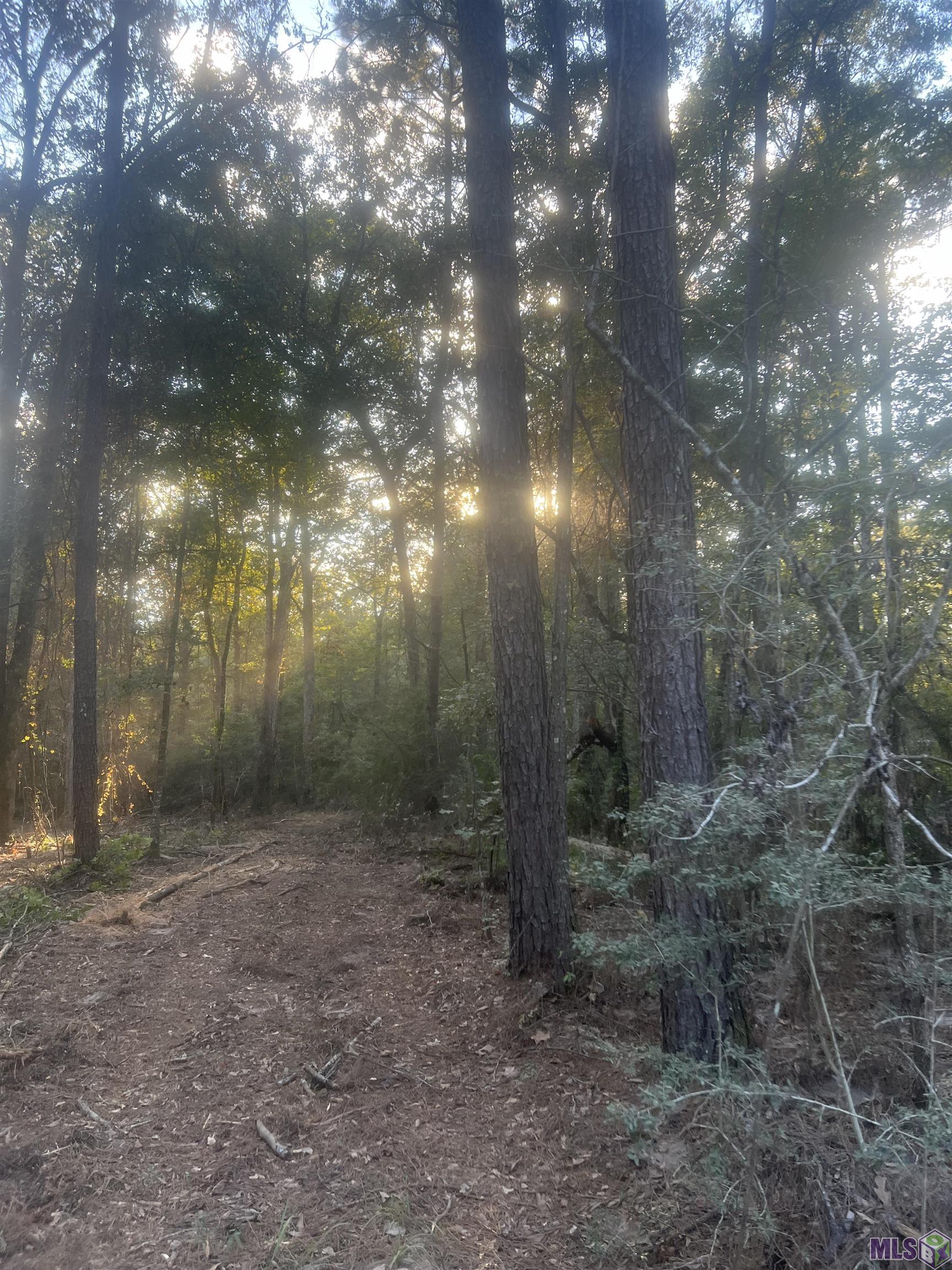 10 Clinton La Clinton, LA 70722 - Photo 5 of 5