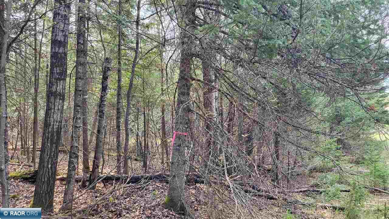 1 7th Street Southeast Cook, MN 55723 - Photo 4 of 19