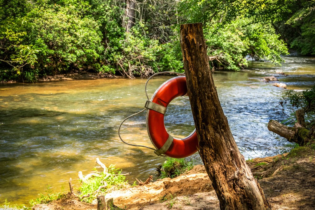 1082 Sunset Road Epworth, GA 30541 - Photo 97 of 98