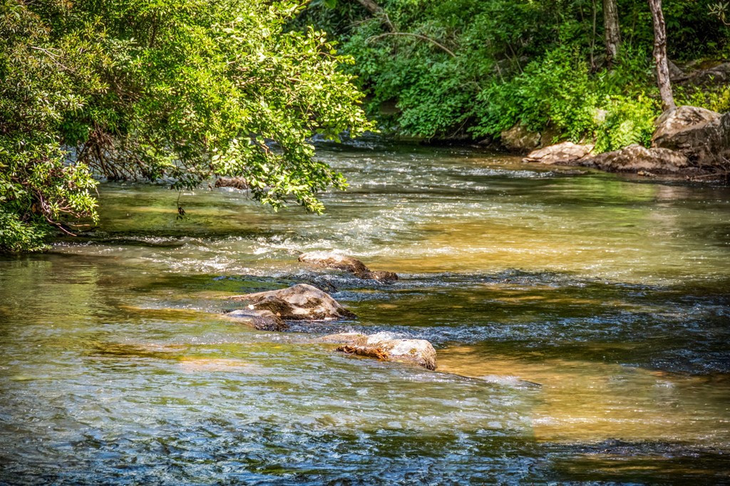 1082 Sunset Road Epworth, GA 30541 - Photo 98 of 98