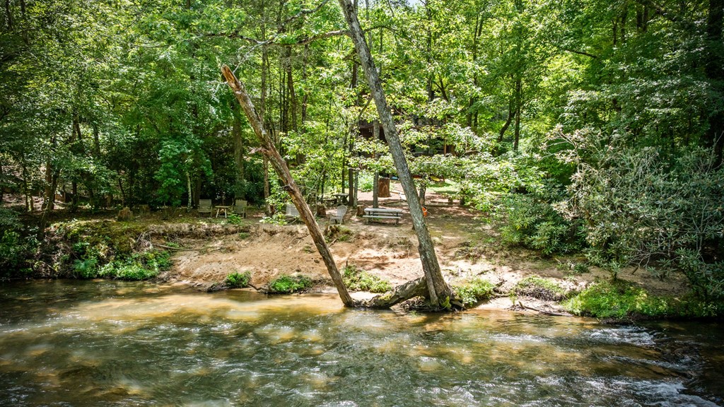 1082 Sunset Road Epworth, GA 30541 - Photo 10 of 98