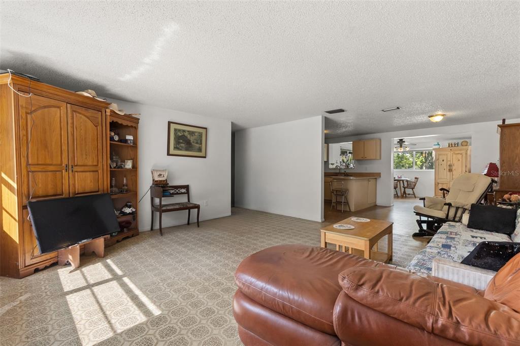 12631 Hobson Simmons Road Lithia, FL 33547 - Photo 3 of 18