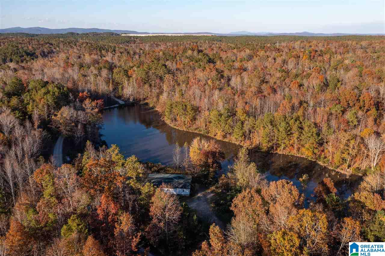 300 Henderson Lake Road Sylacauga, AL 35151 - Photo 1 of 20
