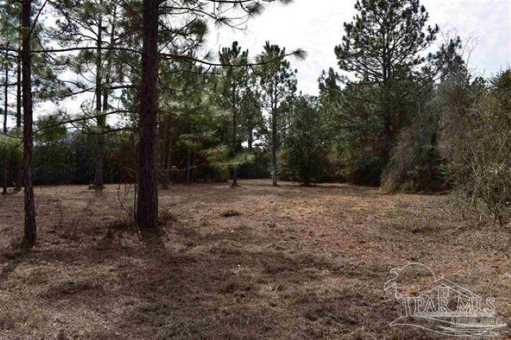 1 Pat Brown Road Milton, FL 32570 - Photo 5 of 30 Gallery Image 5