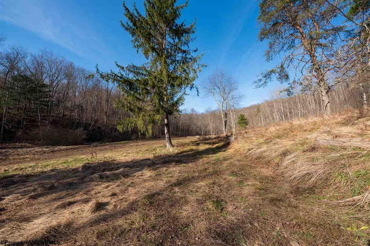 686 Salt Lick Road Mannington, WV 26582 - Photo 16 of 29 Gallery Image 16