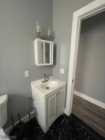 a bathroom with a sink toilet and vanity