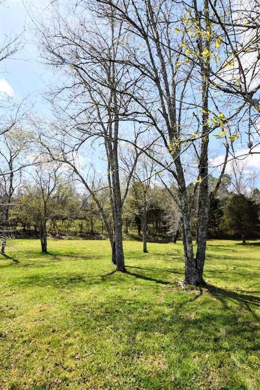 Lot 12 Lenore Ln Spring Spring City, TN 37381 - Photo 12 of 17 20181643-11