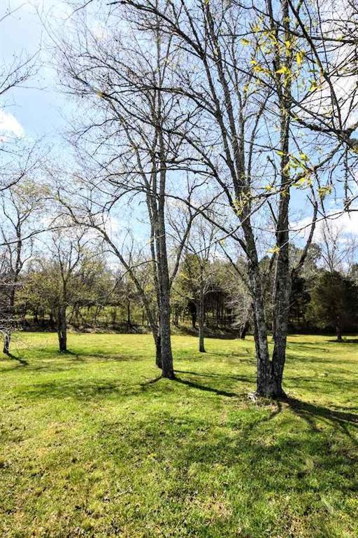 Lot 12 Lenore Ln Spring Spring City, TN 37381 - Photo 13 of 17 20181643-12