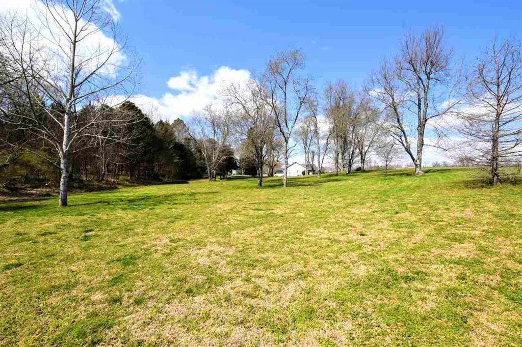 Lot 12 Lenore Ln Spring Spring City, TN 37381 - Photo 15 of 17 20181643-15