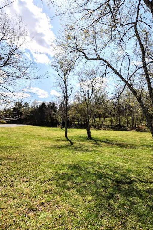 Lot 12 Lenore Ln Spring Spring City, TN 37381 - Photo 16 of 17 20181643-16
