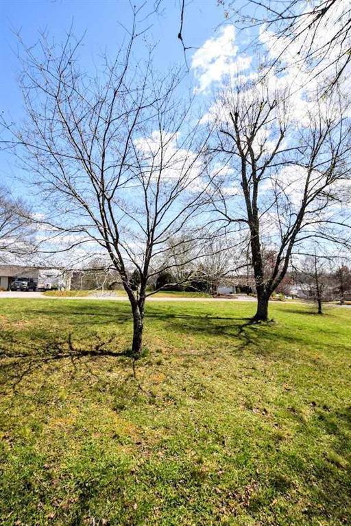Lot 12 Lenore Ln Spring Spring City, TN 37381 - Photo 3 of 17 20181643-1 (1)