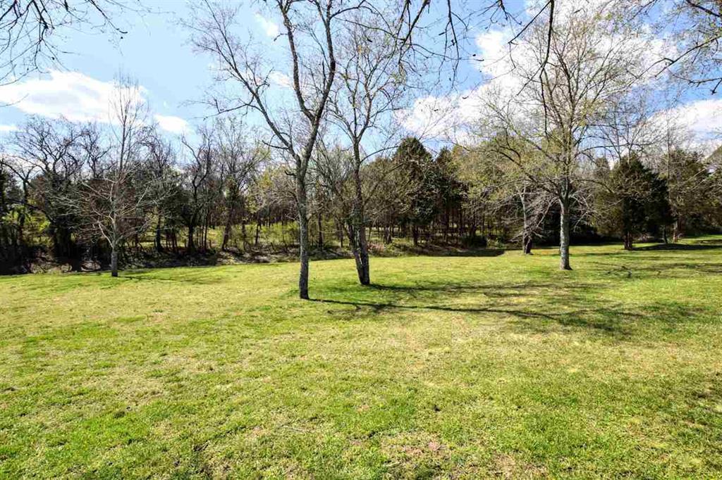 Lot 12 Lenore Ln Spring Spring City, TN 37381 - Photo 5 of 17 20181643-2