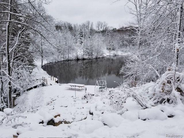 4693 Hegel Road Goodrich, MI 48438 - Photo 53 of 58 Gallery Image 53