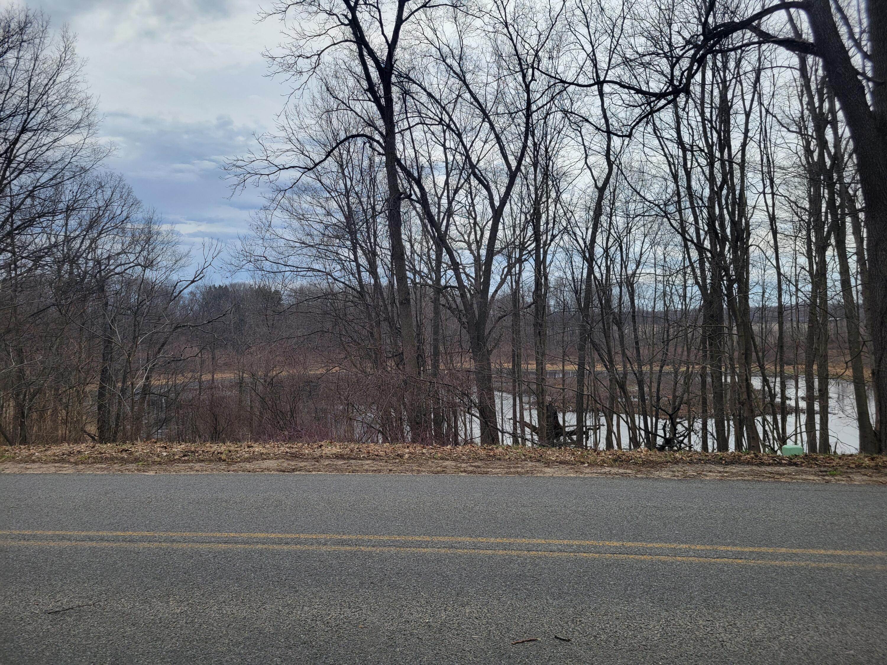 35176 Mill Lake Road Gobles, MI 49055 - Photo 12 of 30 20260315_142821