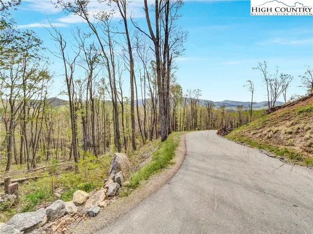 a street view with tall trees