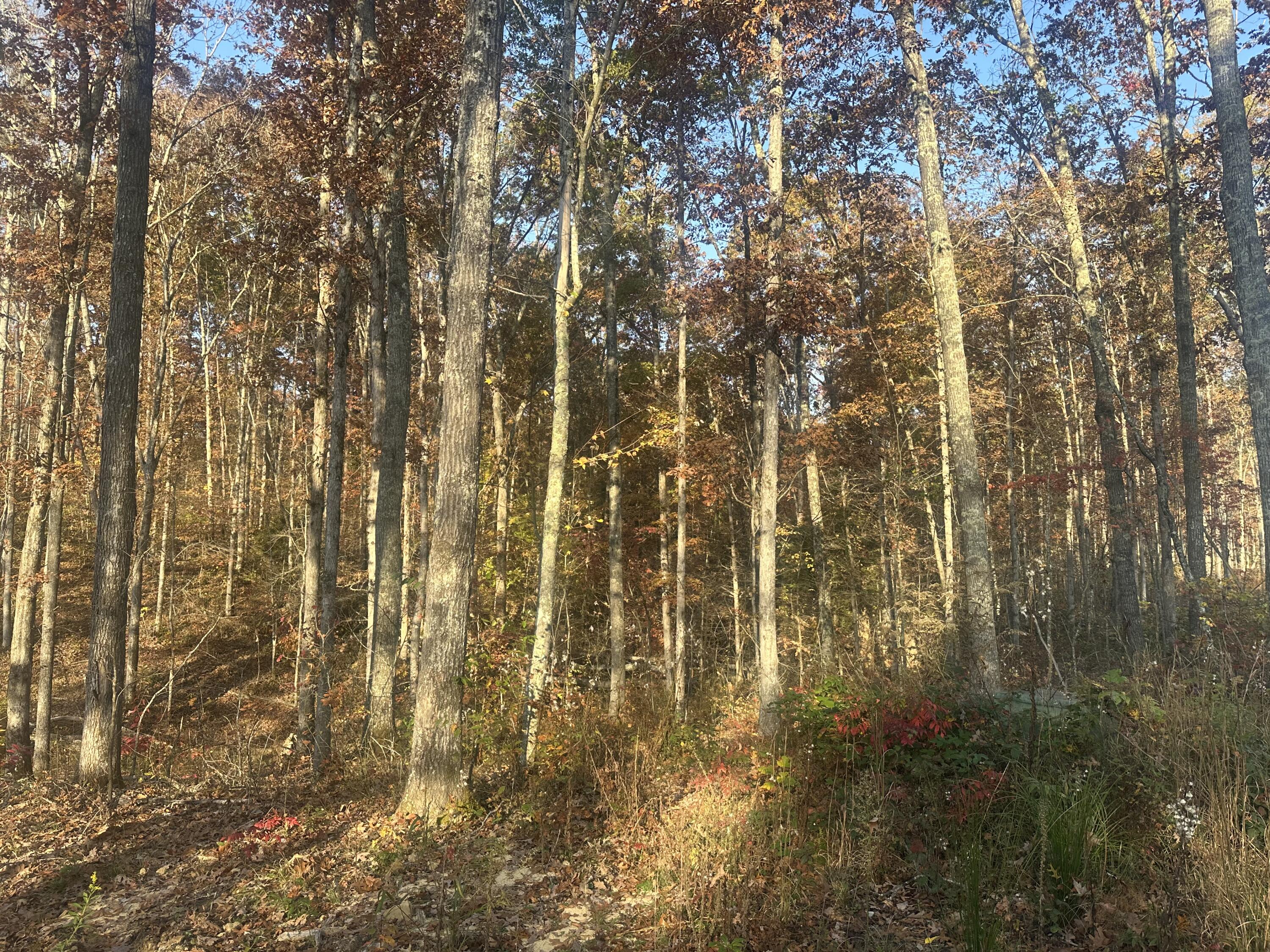 7 Bozeman Road Corbin, KY 40701 - Photo 24 of 34 IMG_7885