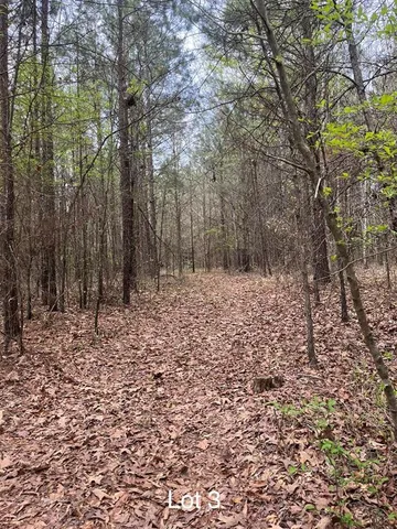 a view of wooden space and trees