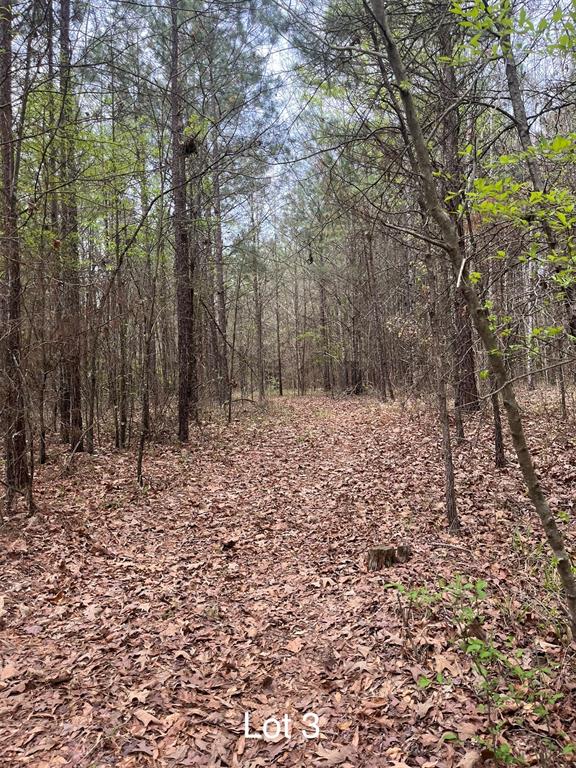0 Crouch Road, Unit 3 Benton, LA 71006 - Photo 5 of 5 View of tree filled area/ trail on Lot 3