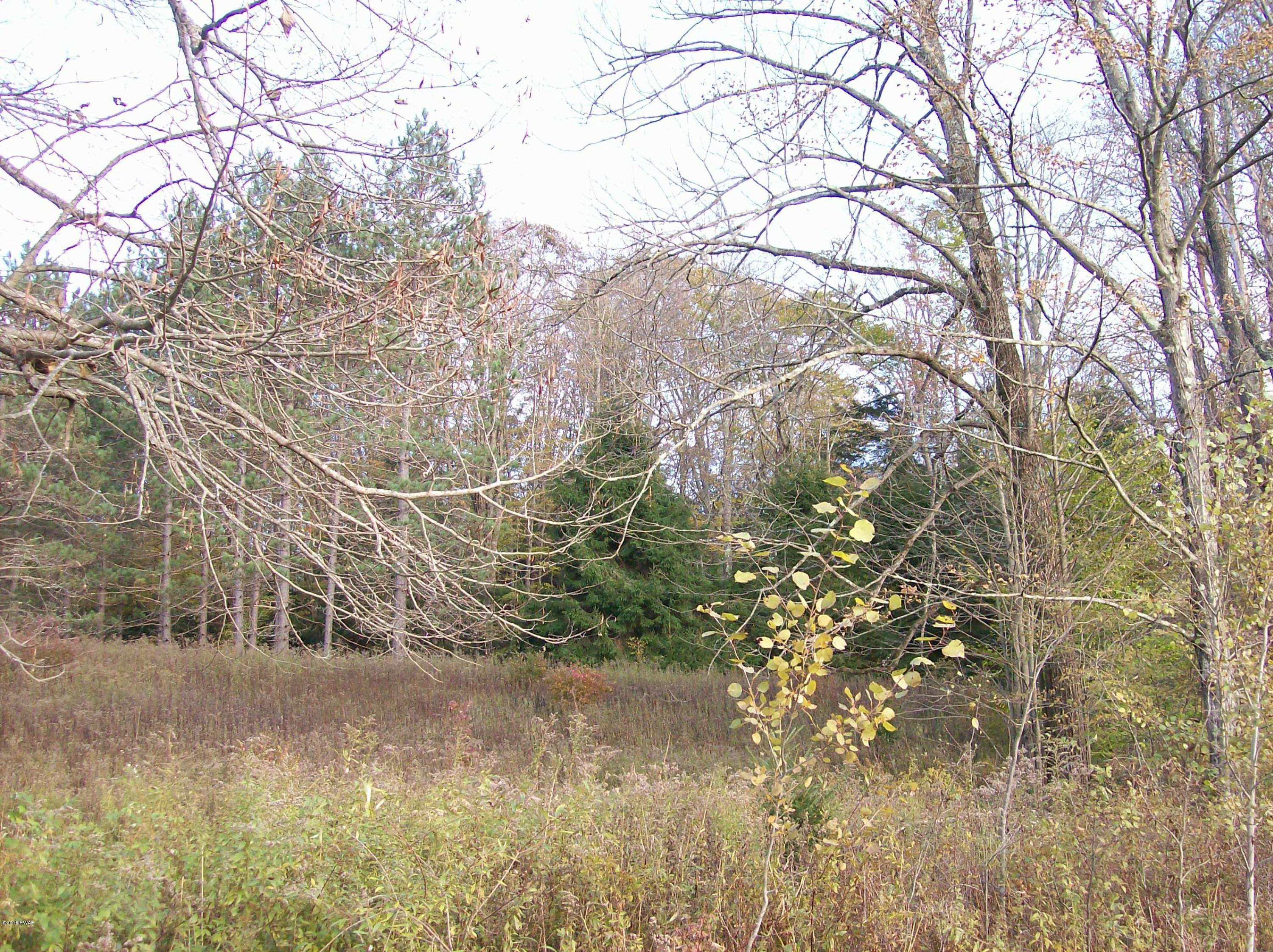 Lot #9 Bunting Road Honesdale, PA 18431 - Photo 7 of 7
